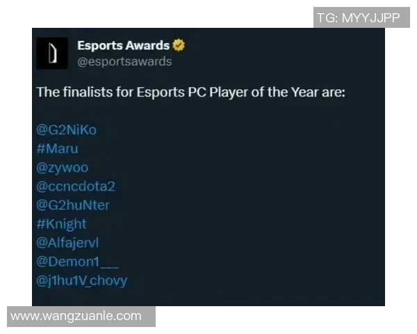 DOTA2巨献：深入解析JDG选手的个人能力与团队协作之道