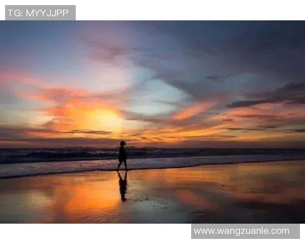 独行侠：在孤独与奋斗中寻找自我，探索生命的真谛与意义